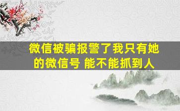 微信被骗报警了我只有她的微信号 能不能抓到人